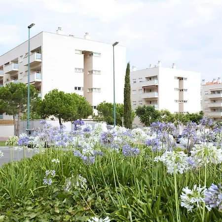 Planta Baja Con Terraza *